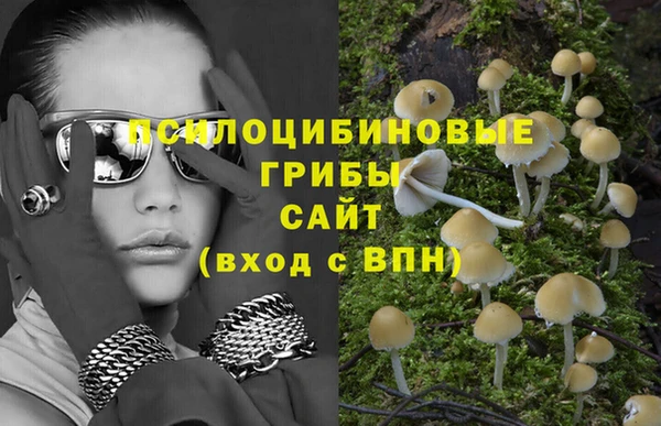 дживик Алексин