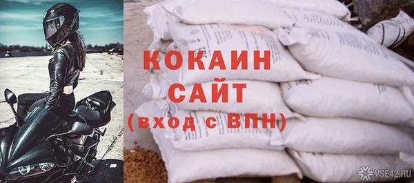 дживик Алексин