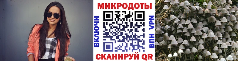 Псилоцибиновые грибы Magic Shrooms  наркошоп  KRAKEN ссылки  Аксай 